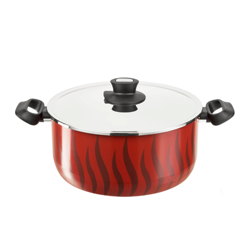  Tefal Dutch Oven 22+Lid S/S-New Temp Flame