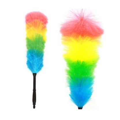 Feather Duster