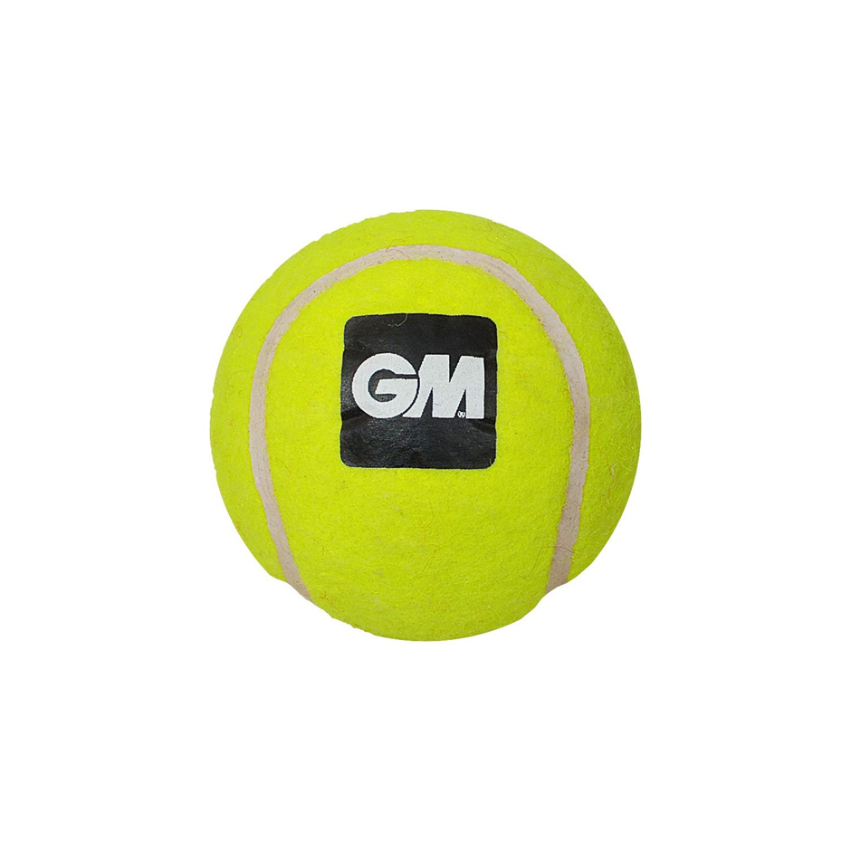  GM Heavy Cricket Balls