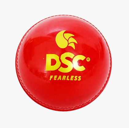 DSC Hunt Synthetic Ball (6 Balls)